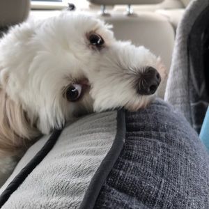 Meet your Posher, Rhonda